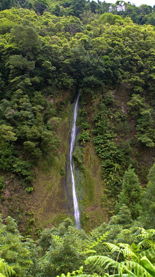 The most beautiful waterfalls and their guardians São Miguel